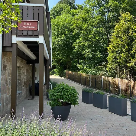 Hirschmann 7 Mit Sauna, Kamin, Balkon * Braunlage